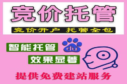 百度推广实战：打造爆款课程案例解析
